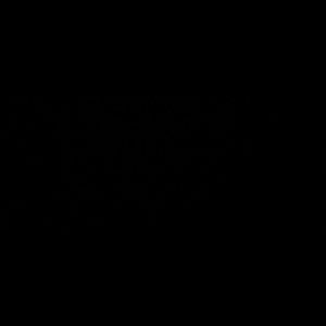 Meet your Posher, Ariel